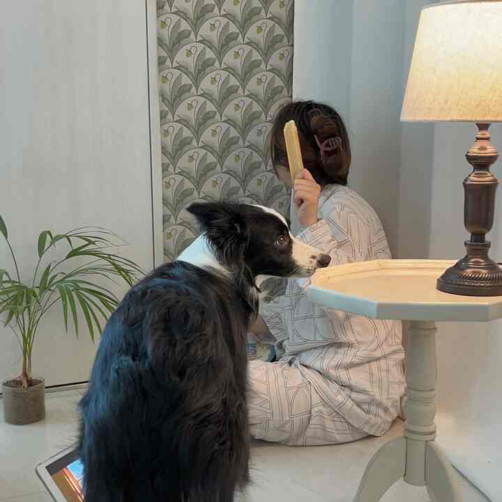 ナチュラルカラーの部屋、パターン壁紙とフロアランプが配置され、犬と人がいる雰囲気のあるインテリア