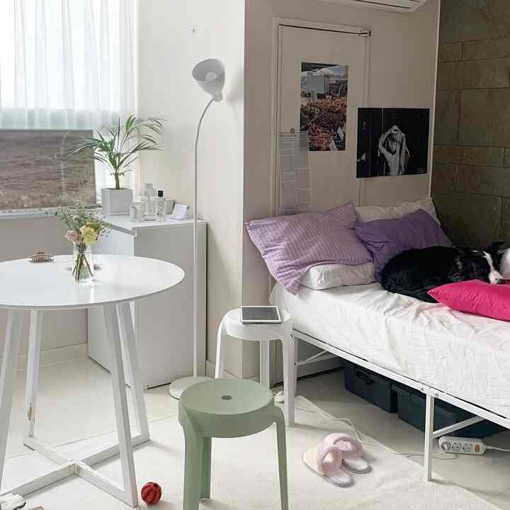 白を基調とした小さな寝室、円形テーブルとスツール、ベッドフレームと犬が配置されたシンプルで明るい空間