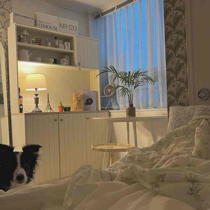 白とナチュラルな色調のワンルーム、植物とテーブルランプが配置された雰囲気のあるインテリア