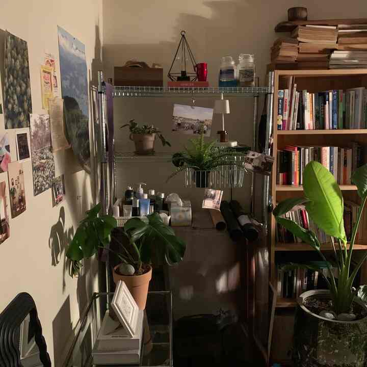 ナチュラルな色調の狭い部屋、金属製の棚と木製の本棚、多数の植物とポスターが配置された雰囲気のあるインテリア