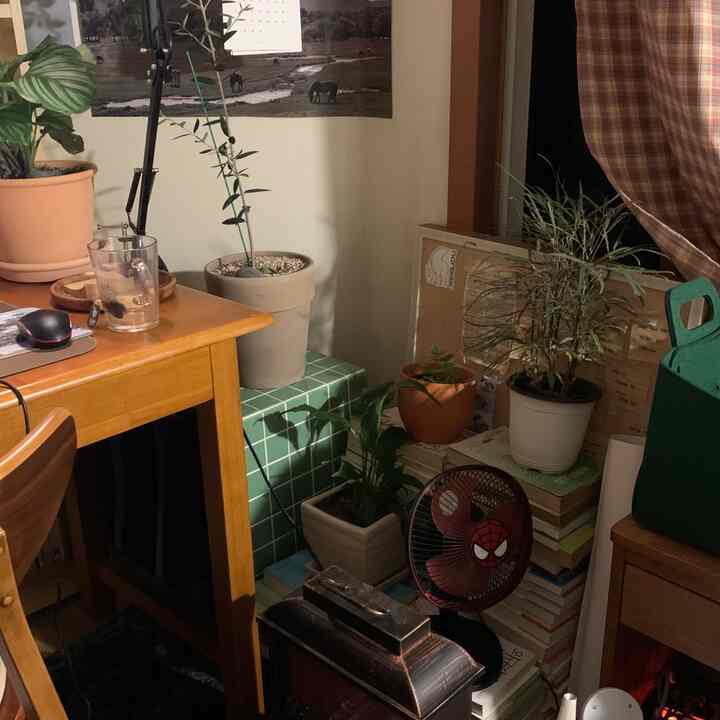 ナチュラルな色調の小さな空間、本と多様な鉢植えが積まれ、隙間スペースを活用した雰囲気のあるインテリア