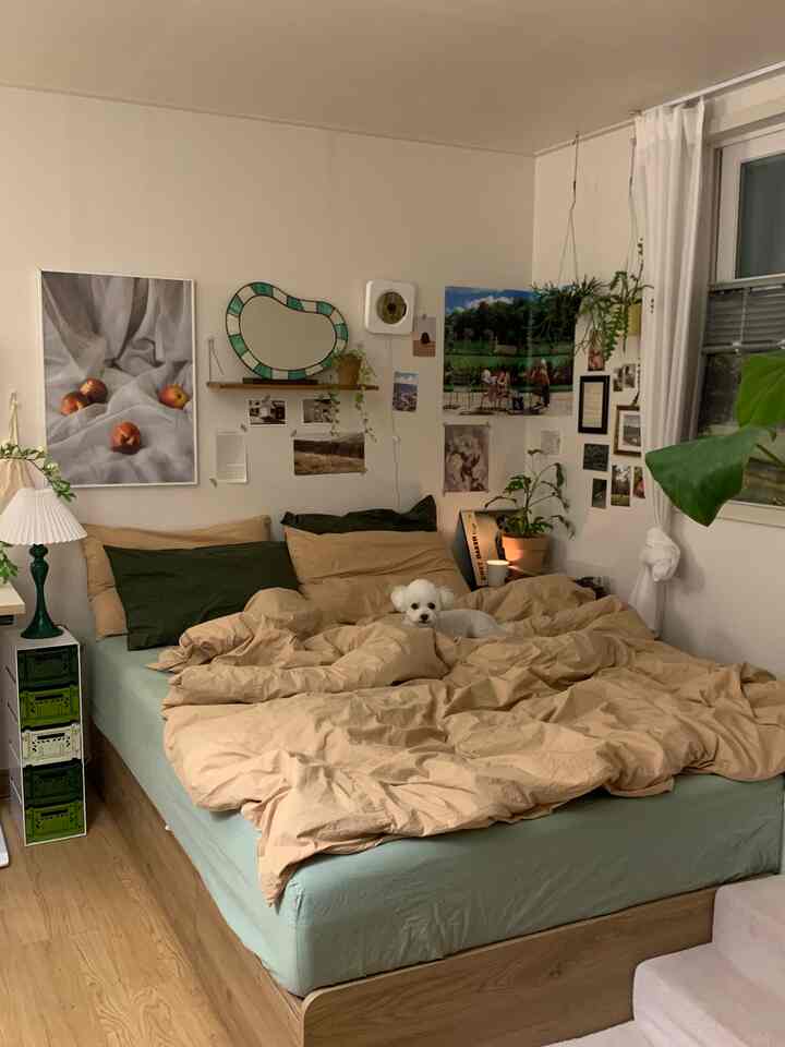 ナチュラルな色調の寝室、ウッドトーンのベッドにベージュの寝具が配置され、小さな犬が枕の上に座る、雰囲気のある空間