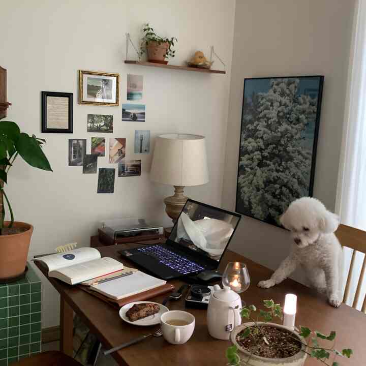 ナチュラルなトーンのダイニングルーム、木製のテーブルと椅子、ペットの犬とホームオフィス用のノートパソコンが配置された雰囲気のあるインテリア