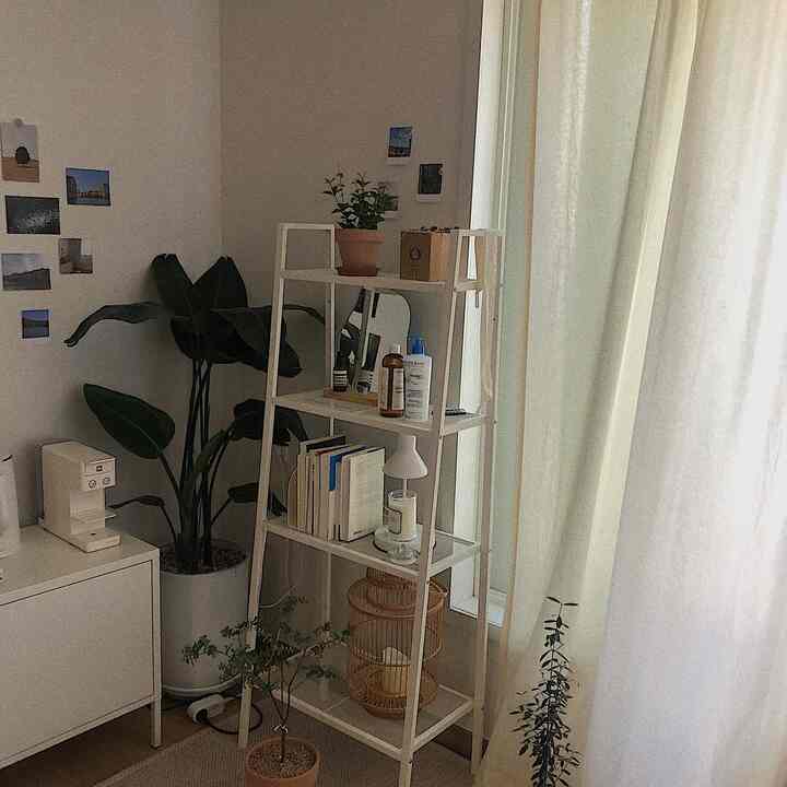 白とナチュラルカラーのリビングコーナー、棚と植物が配置された落ち着いた印象的な空間