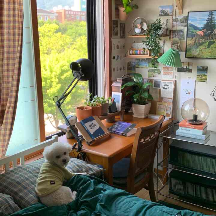 グリーンと木目調が調和した小さな寝室、ベッドのそばに机と植物が配置され、窓際に犬がいる雰囲気のあるインテリア