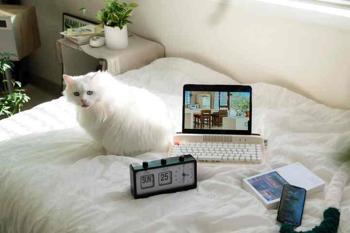 白を基調とした寝室、中央のベッドに猫がいて、デジタルタイプライター風キーボードとアナログ時計が置かれた雰囲気のあるインテリア