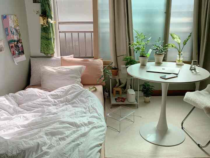 🇰🇷 植物がある暮らし🌱1Kで一人暮らしを始めました