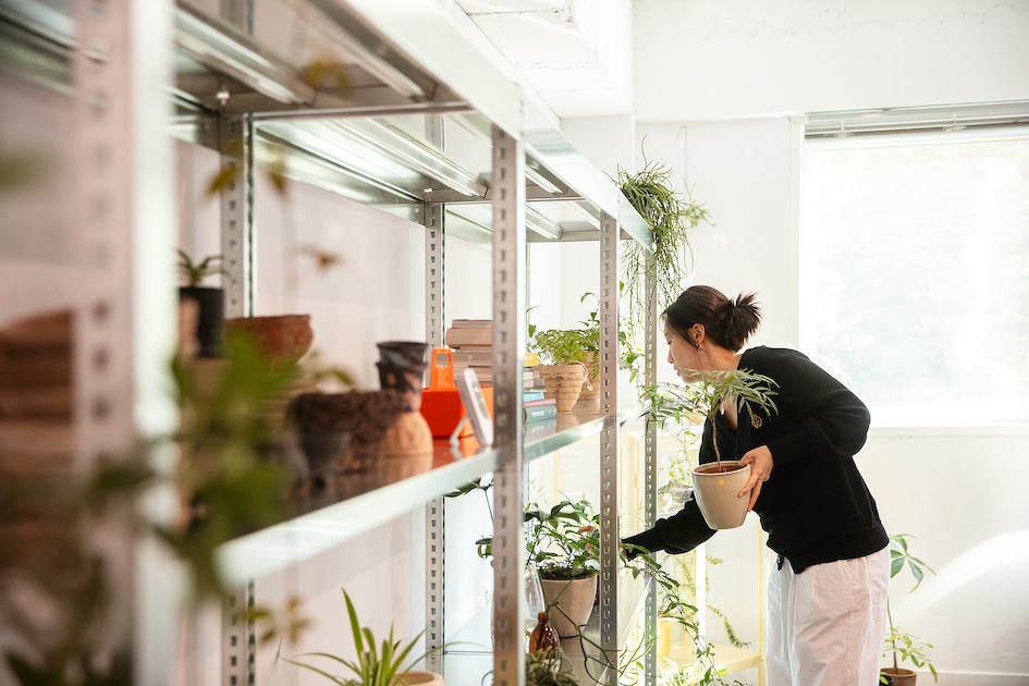 서서히 식물과 친해진 🌱 가드너의 하루 일과 | 라이프스타일 슈퍼앱, 오늘의집