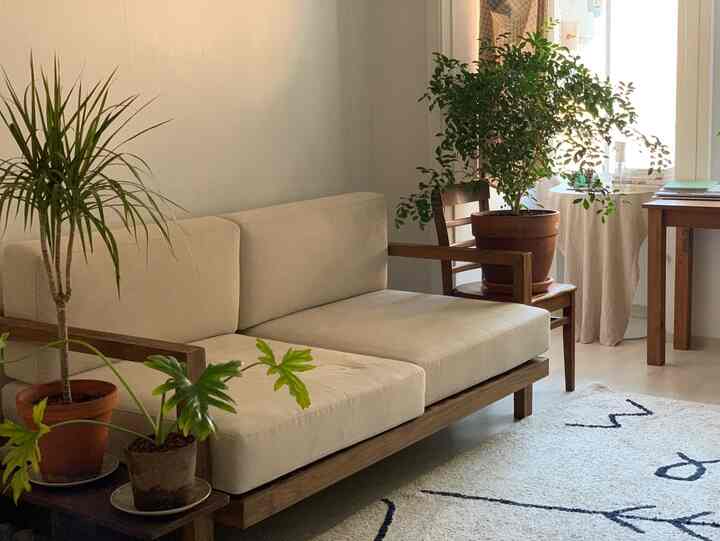 温かみのある木目調とナチュラルカラーのリビング、撥水ファブリックのソファと緑の植物が配された雰囲気あるインテリア