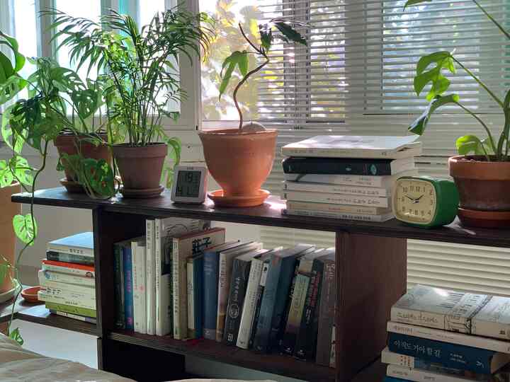 明るい白と深い木目調の寝室の一角、本棚や観葉植物、アンティーク時計が配置された雰囲気のある読書空間