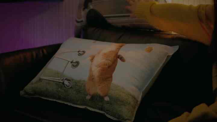 黒いレザーソファに猫の写真がプリントされた大きな枕が置かれた居心地の良い空間