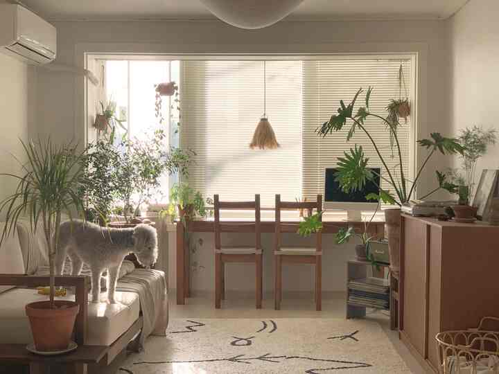 白と木目調のナチュラルなリビング、ソファとダイニングチェア、キャビネットと植物が配置された落ち着いた空間