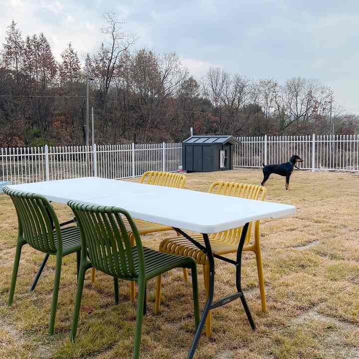 自然光の下、芝生の庭に黒いペットハウスとドーベルマン犬、カラフルなアウトドアテーブルと椅子がある空間