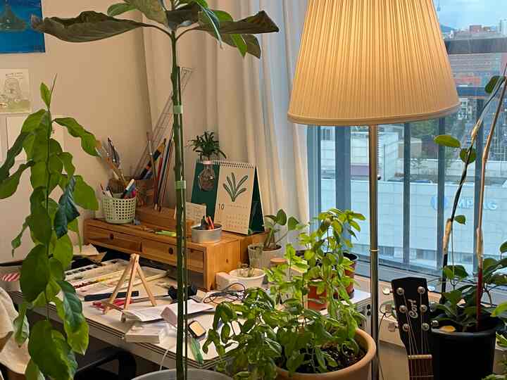 白と木目調が調和した窓際のホームオフィス、多様な植物とフロアランプが配置され集中できる空間