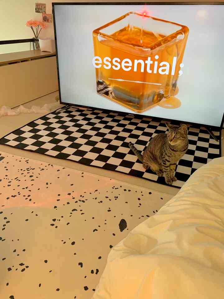 ホワイトとブラックの落ち着いたトーンのリビング、チェッカーボードラグと猫、大きなテレビが配置された雰囲気のある空間