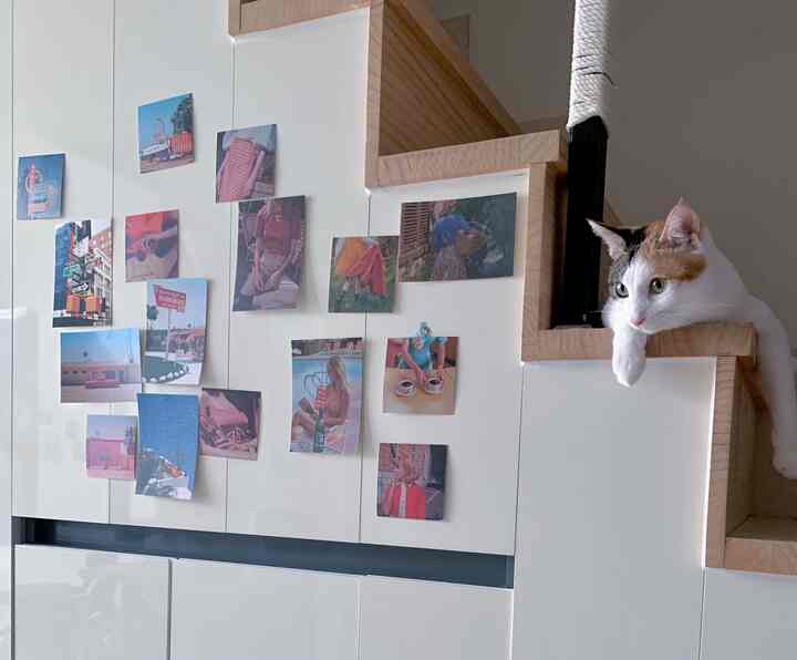 白と木目調の階段横で寛ぐ猫、壁にかわいいポストカードが貼られた雰囲気のあるインテリア