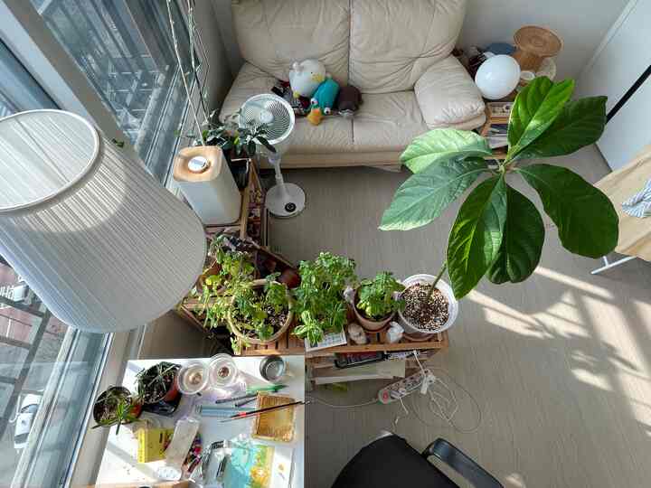 明るいウッドトーンとベージュのリビングワークスペース、棚の上の植物が間仕切りとして機能し、集中できる空間