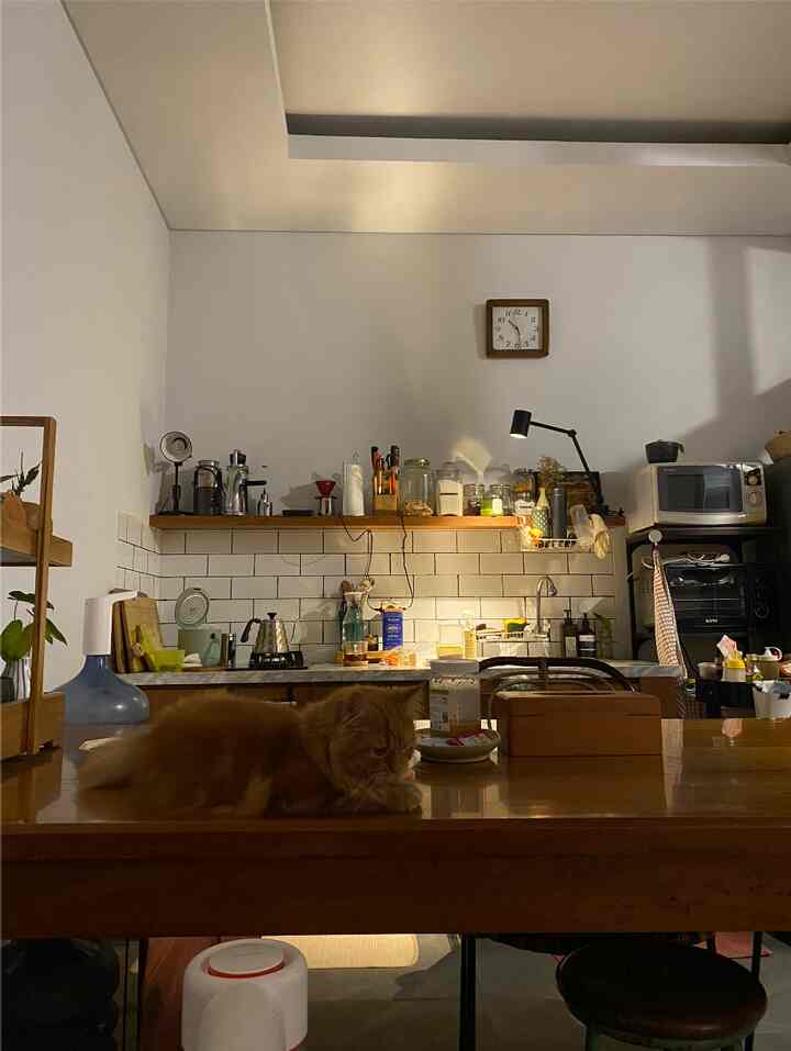 Nyaman di Rumah Bareng Anabul