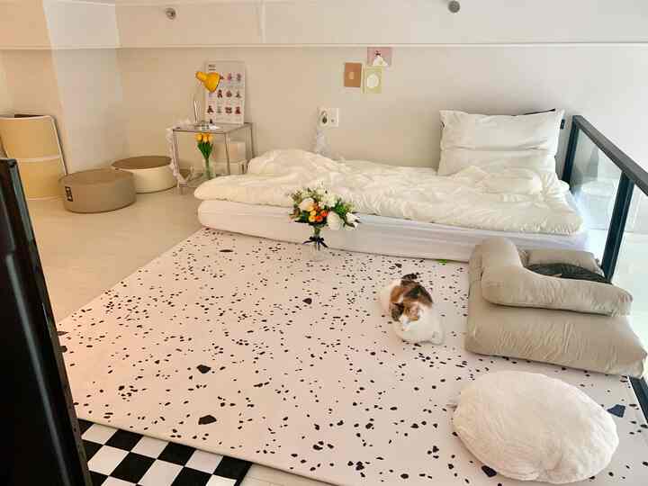 ホワイトとベージュの色調のロフトワンルーム、ベッドとラグ、2匹の猫がいる落ち着いた雰囲気のインテリア