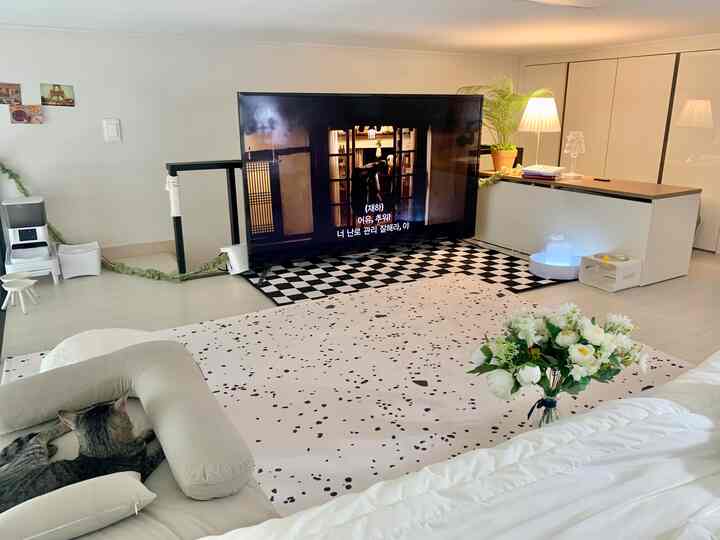 ホワイトとベージュのトーンのワンルームリビング、テレビとラグが配置され、ペットと暮らす猫がいる落ち着いた空間