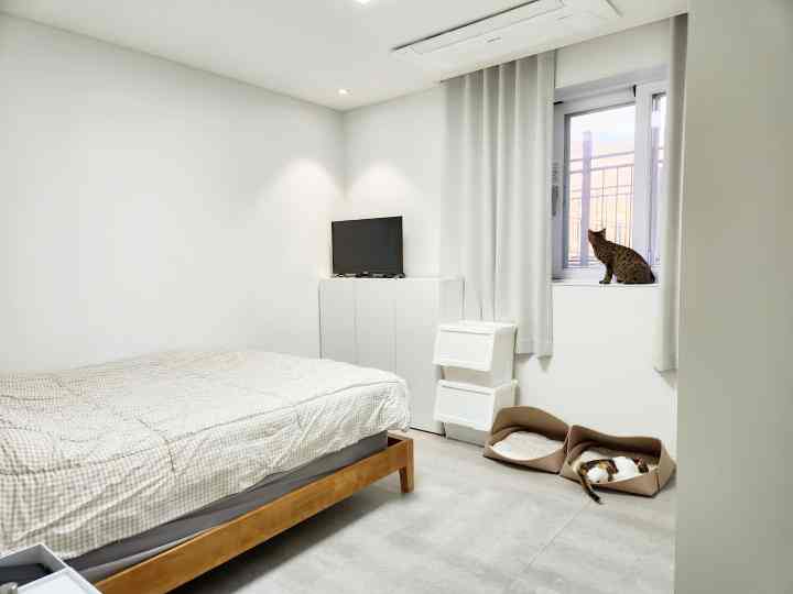 白と木目調の寝室、窓辺に猫とペットハウスが配置された居心地の良い一人暮らしの空間