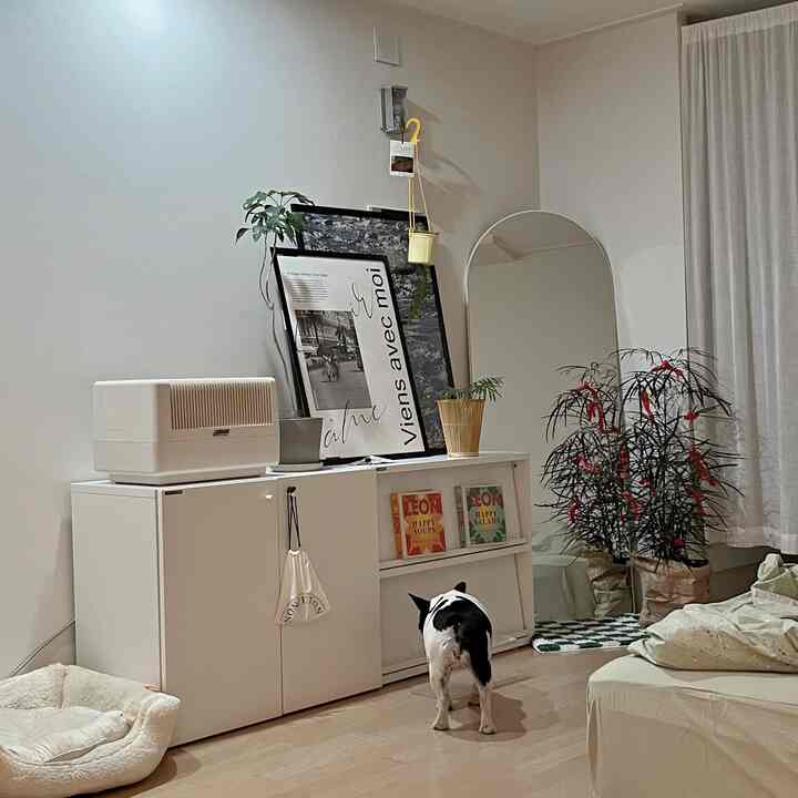 白と木目調が調和したリビング、化粧台収納と大型アーチ型鏡、ペット用品が配置された雰囲気のあるインテリア