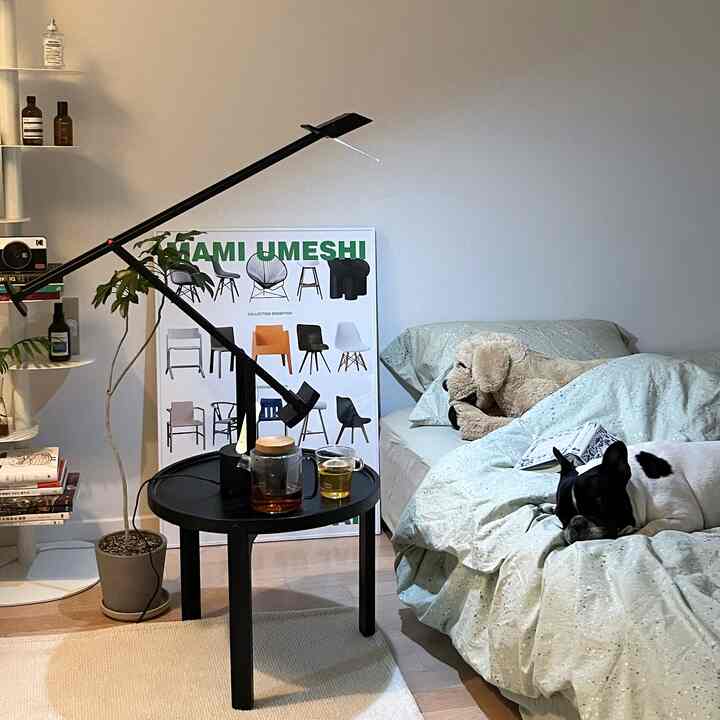 ナチュラルな色調の寝室、ベッドに犬と黒いナイトテーブルとランプが配置された雰囲気のあるインテリア