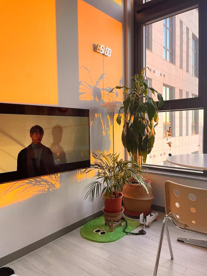 温かみのあるオレンジ色のキッチンスペースに、大きな植物とラタンバスケット、ダイニングチェアが配置された雰囲気のあるインテリア