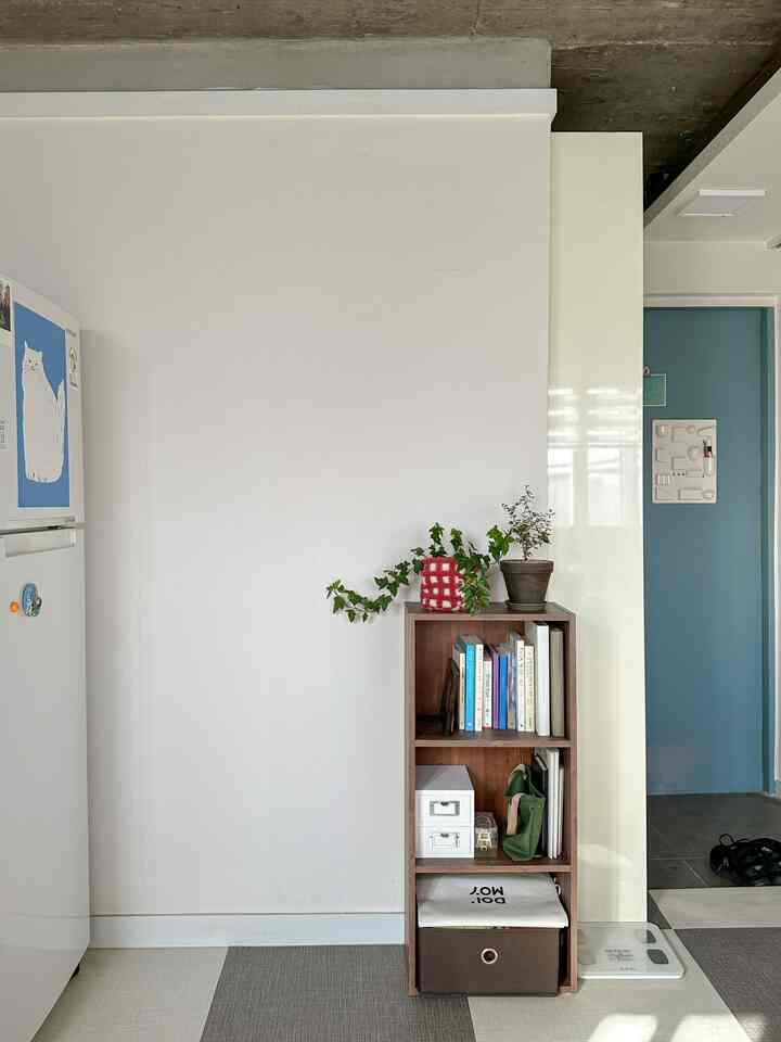 白い壁と茶色の本棚がある居心地の良いバルコニー空間、書籍と観葉植物が配置されたシンプルなインテリア