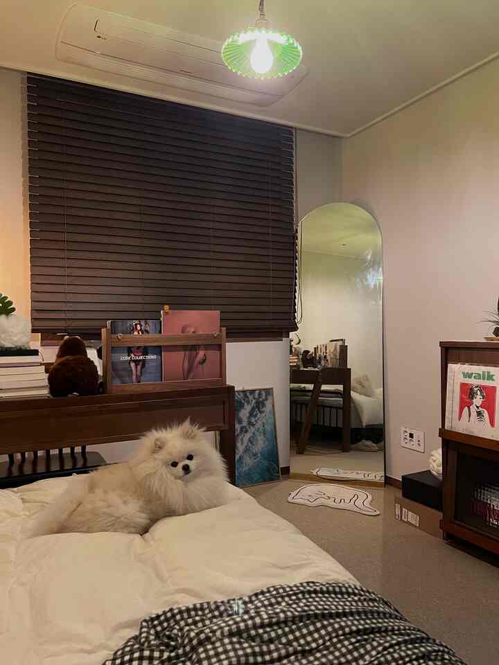 ブラウン色調の寝室、ベッドの上に犬、ウッドブラインドと全身鏡が配置された温かみのある空間