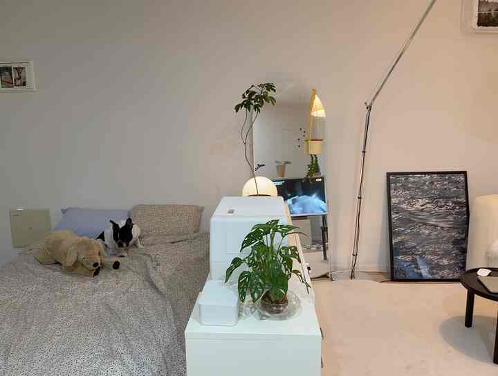 ホワイトとナチュラルのトーンの寝室とリビング空間、ベッドの上に犬がいて、収納が空間を仕切るモダンで清潔感のあるインテリア