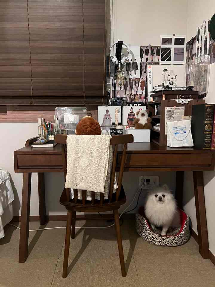 ダークウッド調の小さな部屋に置かれたデスクとチェア、レオパード柄のペットベッドやポスターが配置された雰囲気のあるナチュラルな空間