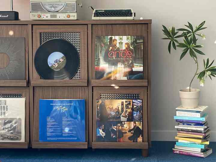 ブラウンの木目調キャビネットとブルーカーペット、右側に置かれた観葉植物と積まれた本がある雰囲気のある音楽コレクション空間