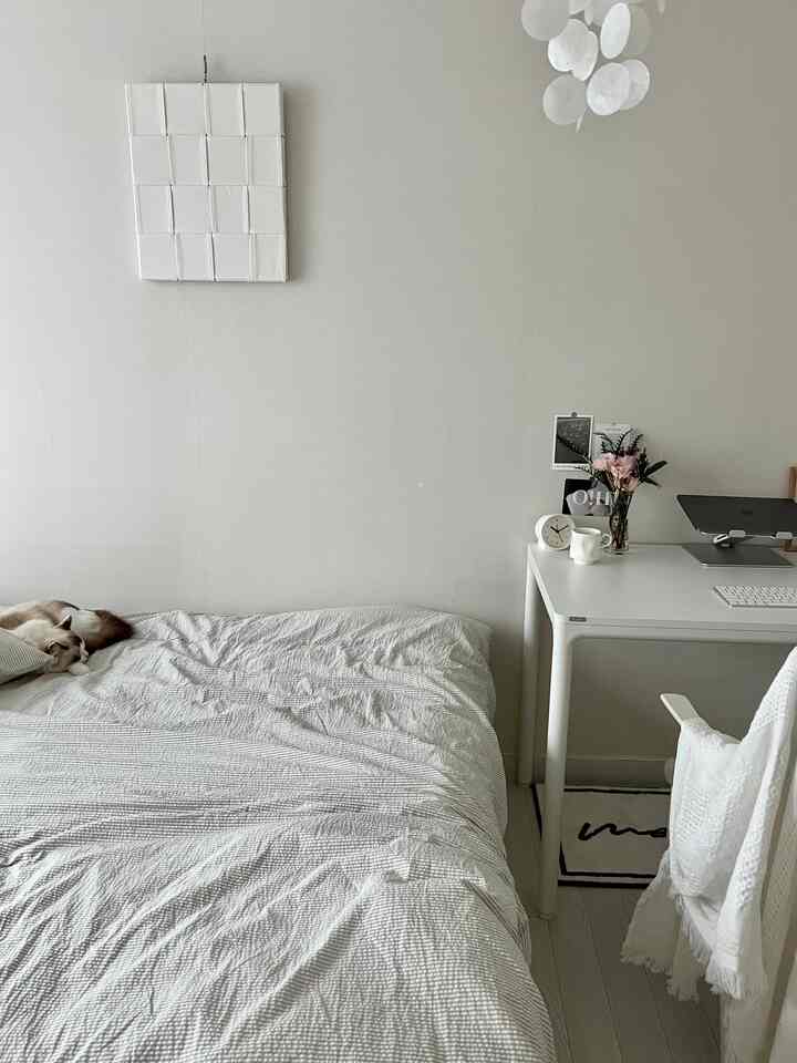 明るいホワイトとナチュラルカラーの寝室、左のベッドに猫がいて右にデスクとオフィスチェアが配置されたシンプルモダンな空間