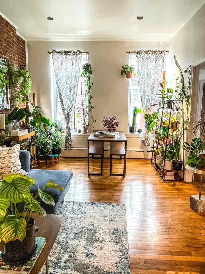 Inside a 600 sq ft urban jungle in NYC's hell's kitchen