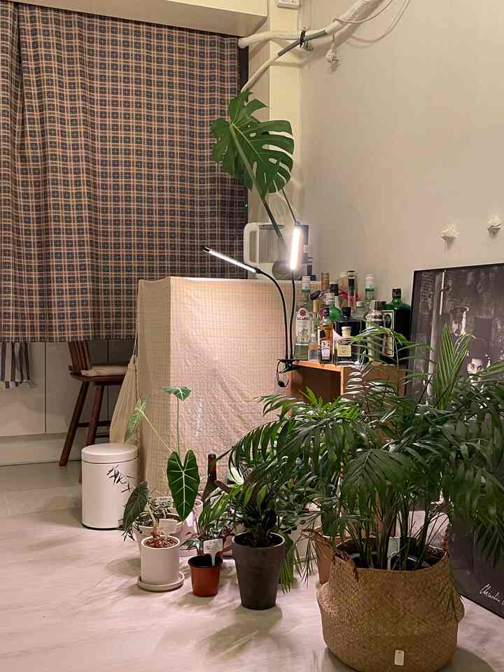 ナチュラルカラーのダイニング、様々な植物とホームバーが配置された雰囲気のある空間