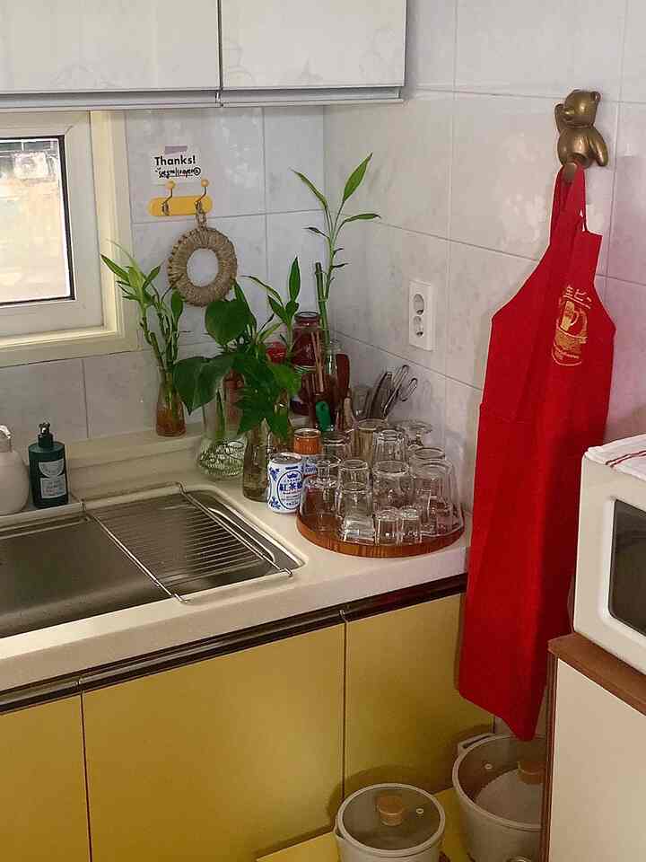 バター色のキッチン、赤いエプロンがクマのフックに掛けられ、水耕栽培の植物と整ったガラス類がある印象的な空間