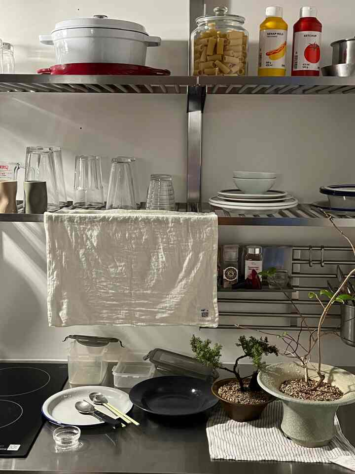 ナチュラルカラーのキッチンスペース、ステンレス製カウンターと食器、二つの植木鉢が置かれた雰囲気のあるインテリア