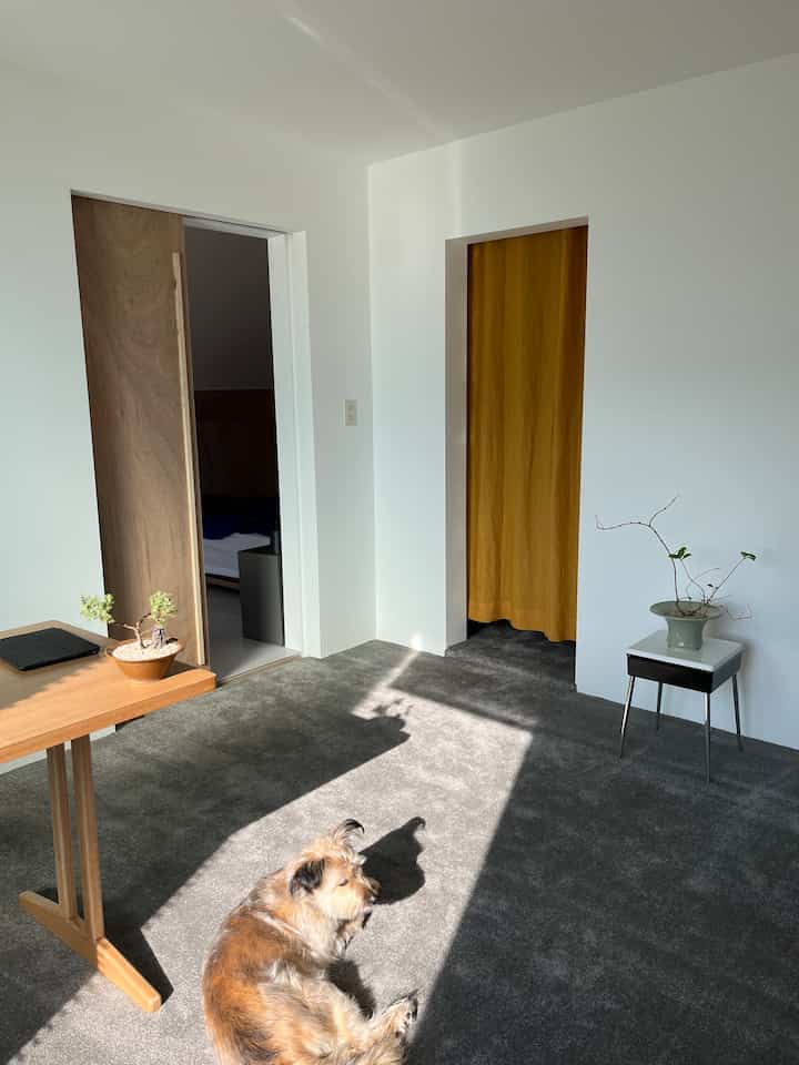 白い壁とナチュラルな木製テーブルが配置されたリビング、グレーのカーペットの上で日差しを浴びている犬がいる落ち着いた空間