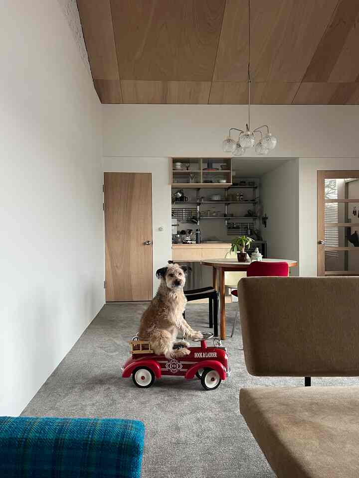 木目調の天井とグレーのカーペットが敷かれたリビング、赤いおもちゃの車に座る犬と自然な木製のダイニングテーブルと椅子が配置された雰囲気のある空間