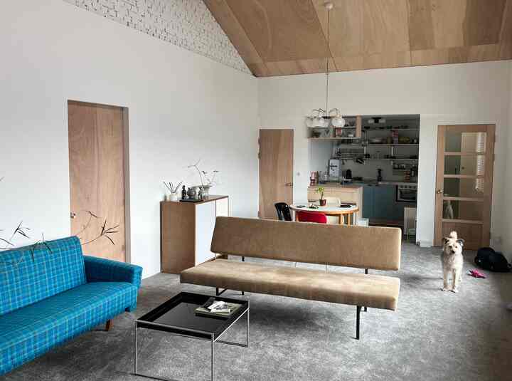 ナチュラルな木目調の天井とシンプルなリビング、ベージュと青のチェック柄ソファが配置され、ペットがいる空間