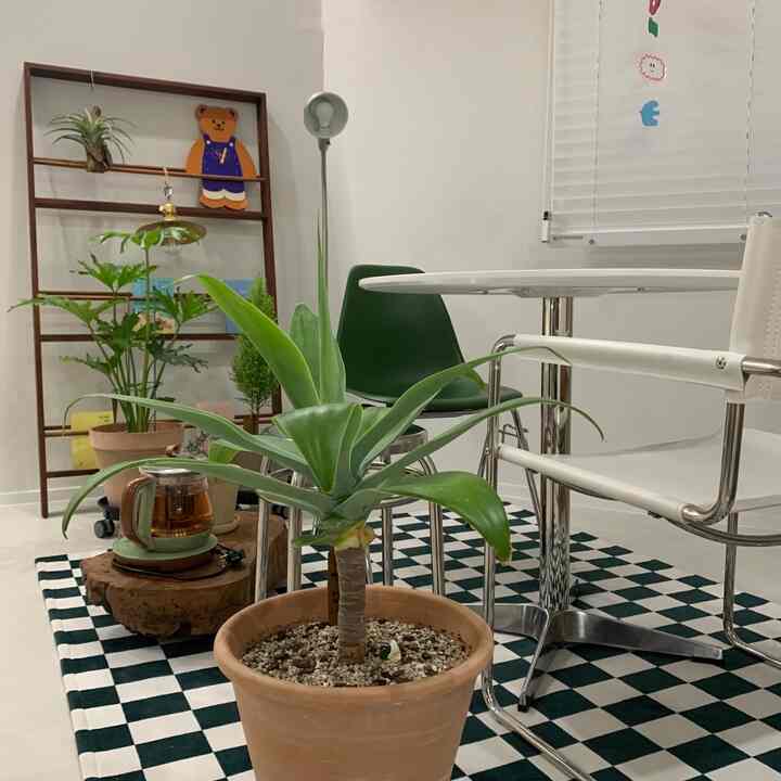 白と緑のトーンのカフェ風ダイニング、チェッカーボードのラグと多様な植物、木製ラックとステンレスのスツールが配置された雰囲気のあるインテリア