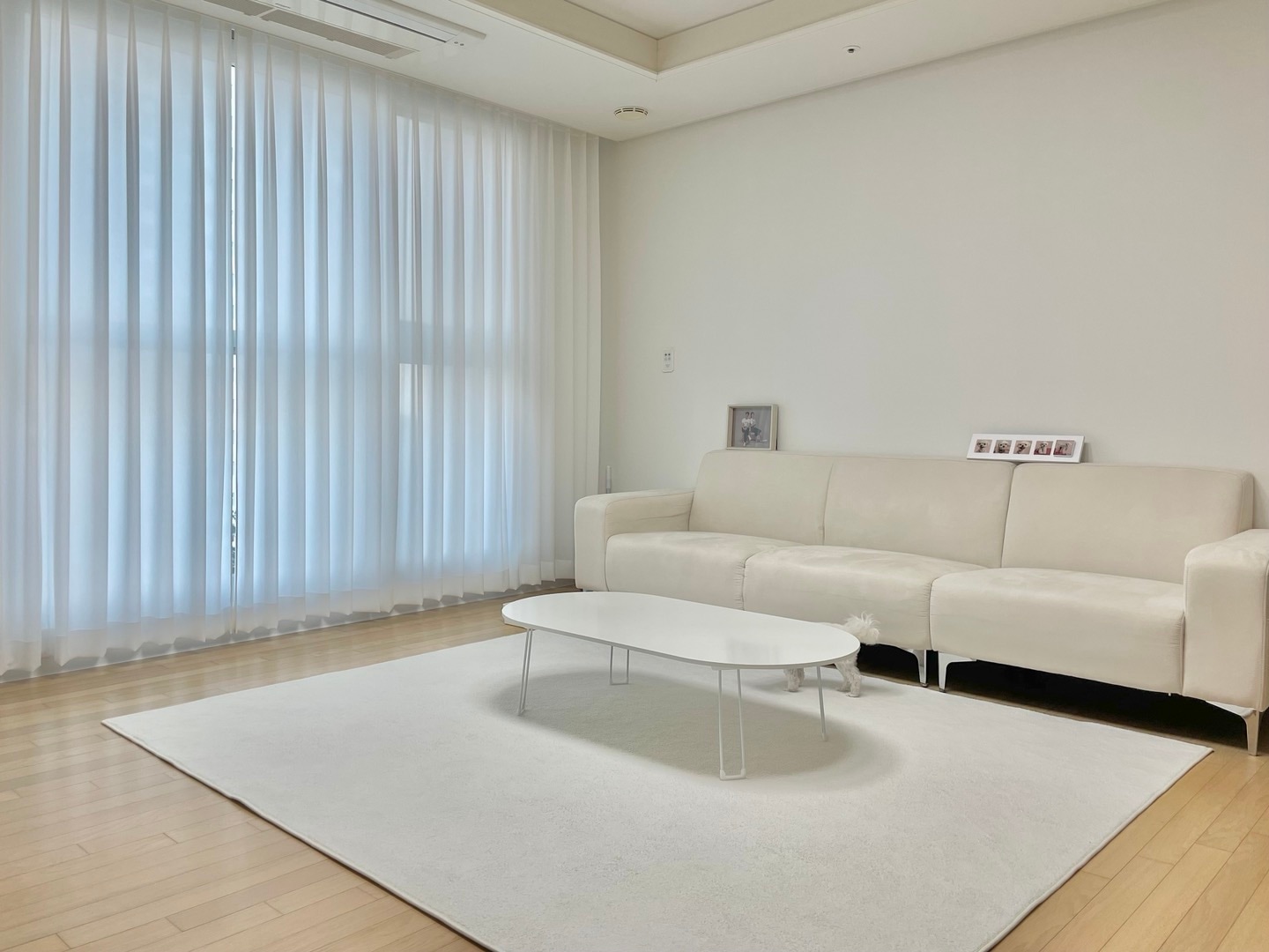 Foldable Oval Low Coffee Table user photo