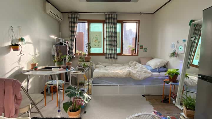 白とナチュラルカラーの寝室、ヘッドボードなしの収納ベッドと円形テーブル、植物が配置された温かみのあるワンルーム