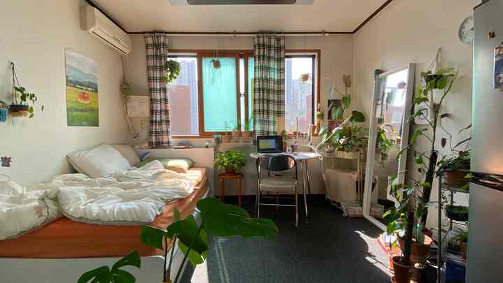 ナチュラルな色調の寝室、たくさんの植物と実用的な家具が配置された居心地の良いコンパクトなインテリア