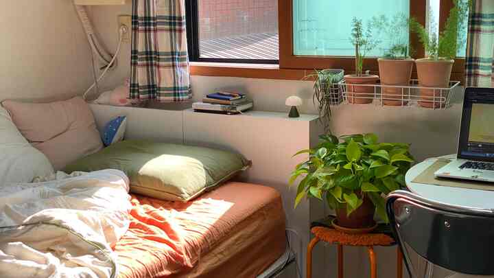 ナチュラルな色調の狭い寝室、隙間収納と複数の植物が配置された居心地の良いワンルームのインテリア