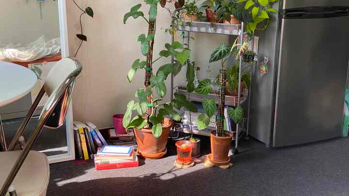 シルバーの冷蔵庫と観葉植物が置かれたホワイトトーンのリビング、移動式棚とデスクが調和する落ち着いた空間