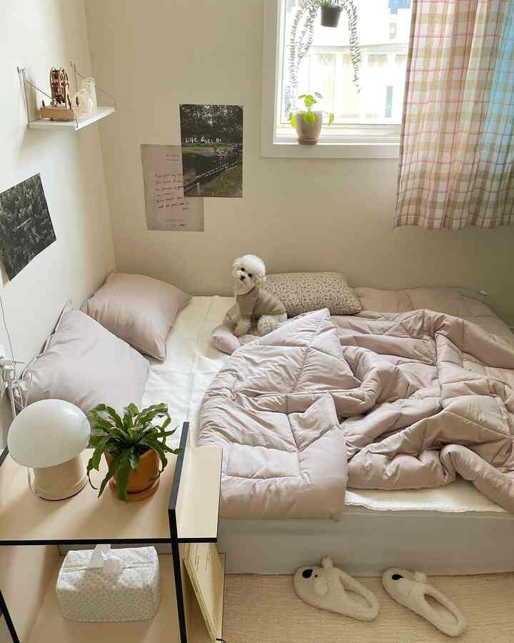 ベージュとホワイトの色調の寝室、窓辺と壁に植物が配置されており、布団の上に犬が座っている雰囲気のある空間