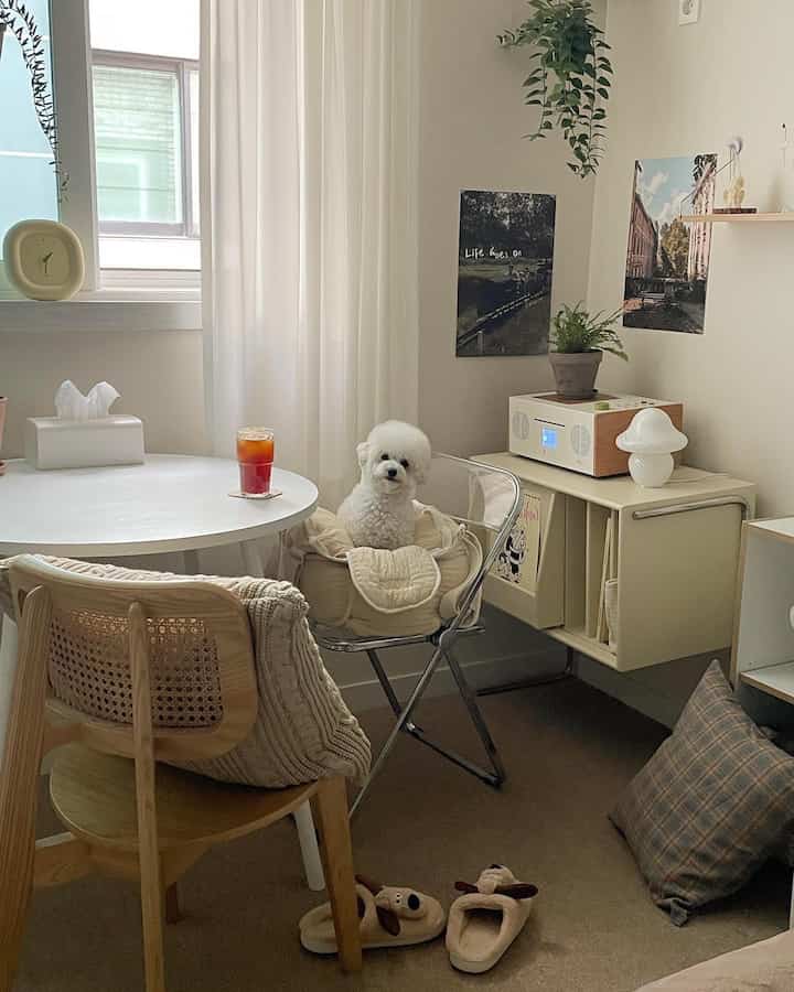 白とベージュのトーンのコンパクトなおうちカフェ、透明な椅子に座るかわいい犬とシンプルな家具が配置された雰囲気のあるインテリア