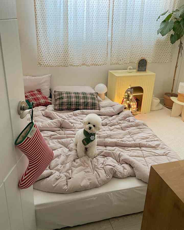 暖かいピンク色調の寝室、クリスマスデコとチェック柄の枕が配置された雰囲気のあるインテリアに犬が座っている